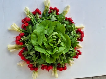 Gössi Hofmärt Salat.jpg