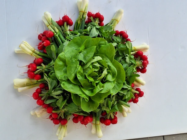 Gössi Hofmärt Salat.jpg