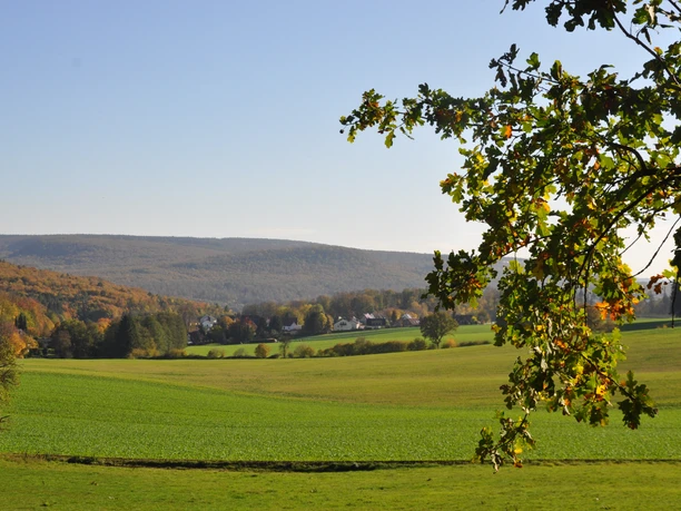3Blick auf MörthUR.JPG Herbstliche Landschaft mit grünen Feldern und Wälder im Hintergrund, von einem Baum gerahmt.