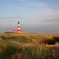 9075_Westerhever Leuchtturm_Deichvorland