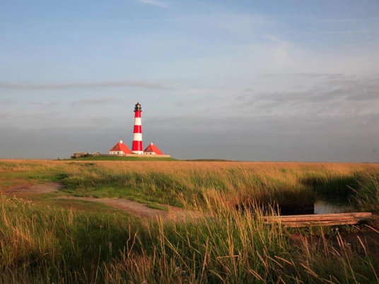 9075_Westerhever Leuchtturm_Deichvorland