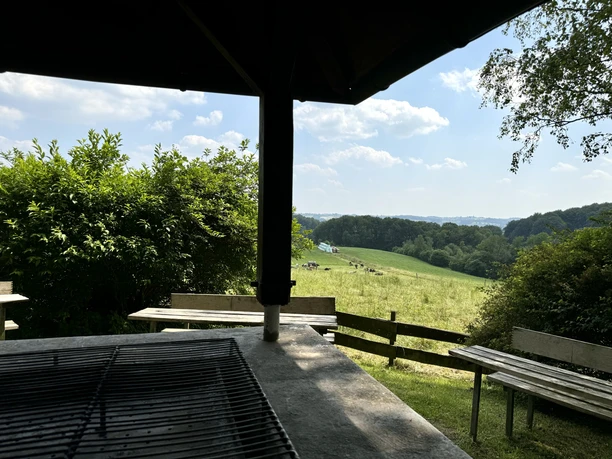 Ausblick - Grillhütte Hohkeppel Grillplatz mit Blick auf eine grüne Wiese, umgeben von Bäumen, bei klarem Himmel.