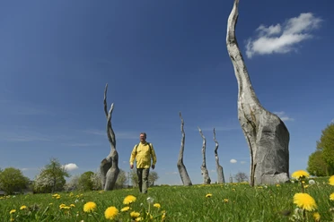 Försterteiche Staffpark Andrack_1©LTM GmbH, F. Grawe.jpg Ein Mann spaziert zwischen kunstvoll verdrehten Baumstämmen auf einer grünen Wiese mit Löwenzahn.