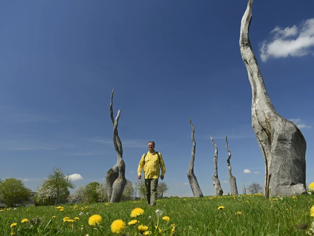 Försterteiche Staffpark Andrack_1©LTM GmbH, F. Grawe.jpg Ein Mann spaziert zwischen kunstvoll verdrehten Baumstämmen auf einer grünen Wiese mit Löwenzahn.