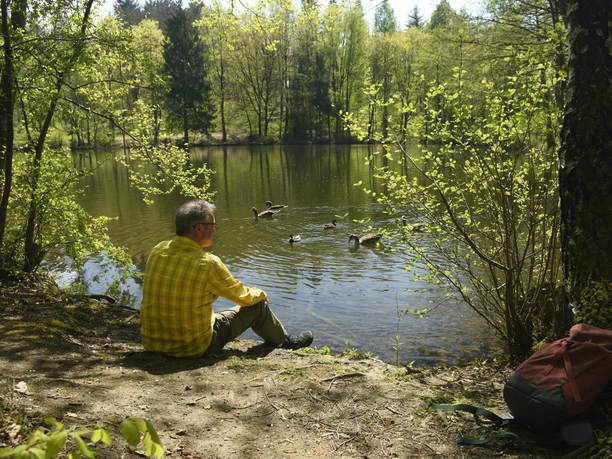 Försterteiche Staffpark Andrack_9©LTM GmbH, F. Grawe.jpg Ein Mann in gelbem Hemd sitzt am Ufer eines von Bäumen gesäumten Teichs und beobachtet Enten.