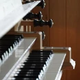 Orgel