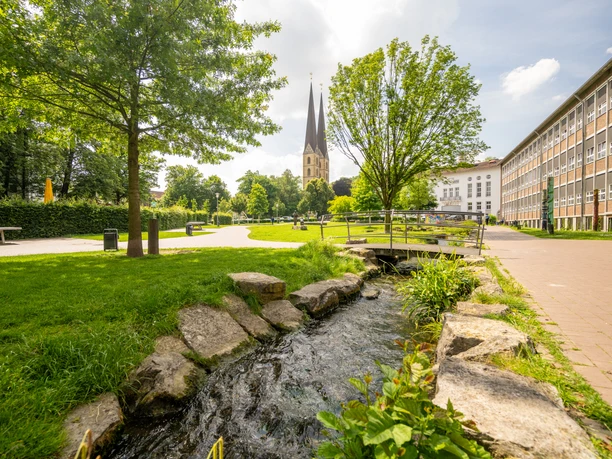 Park der Menschenrecht und Neustädter Marienkirche