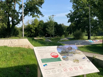 Skatepark in den Almeauen | Büren Skatepark in den Almeauen | Büren