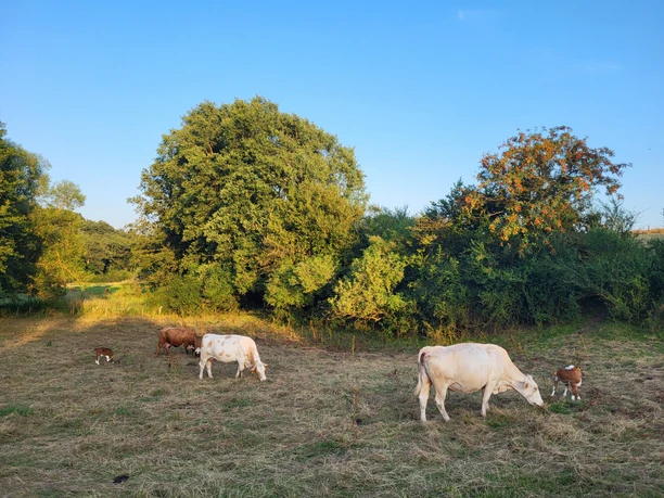 Medelon Landschaft