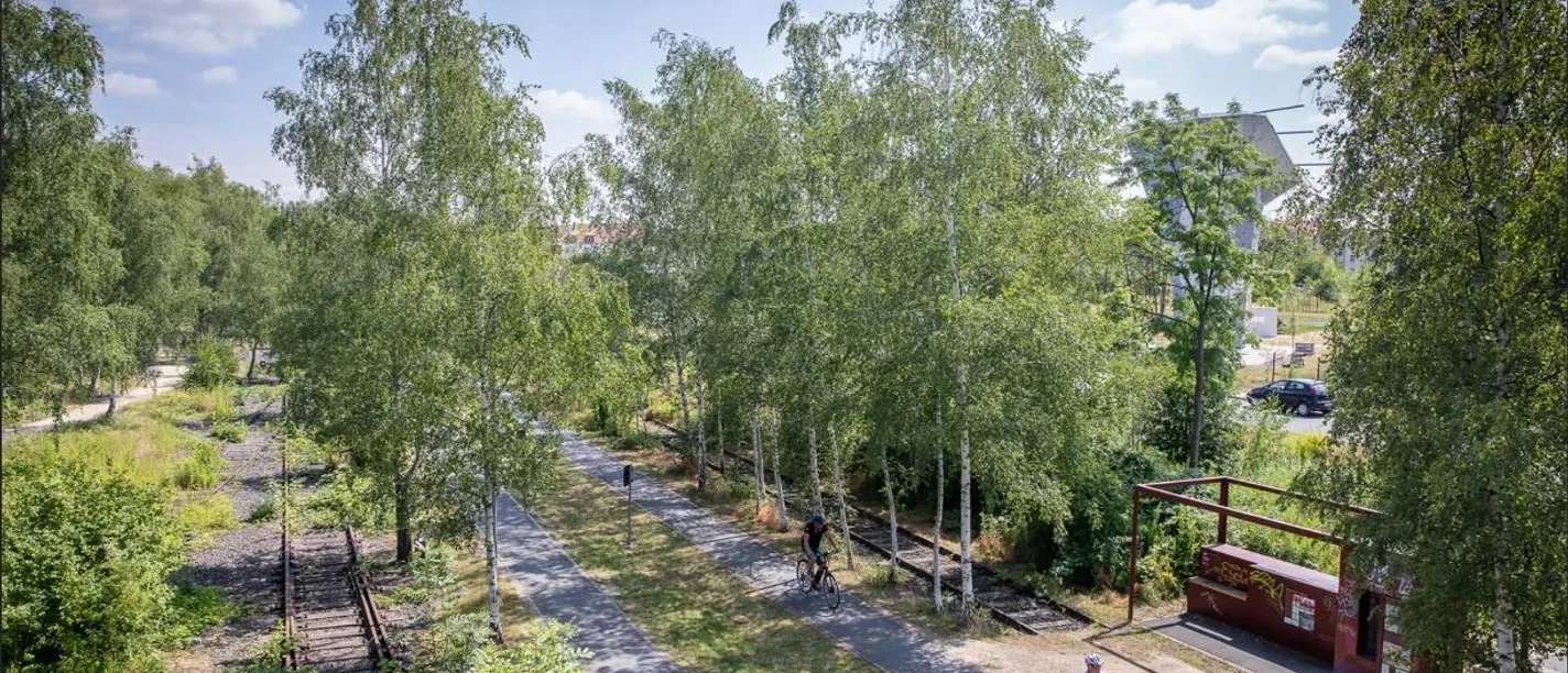 Ringgleis_c_BSM-PhilippZiebart.JPG Ringgleis Braunschweig