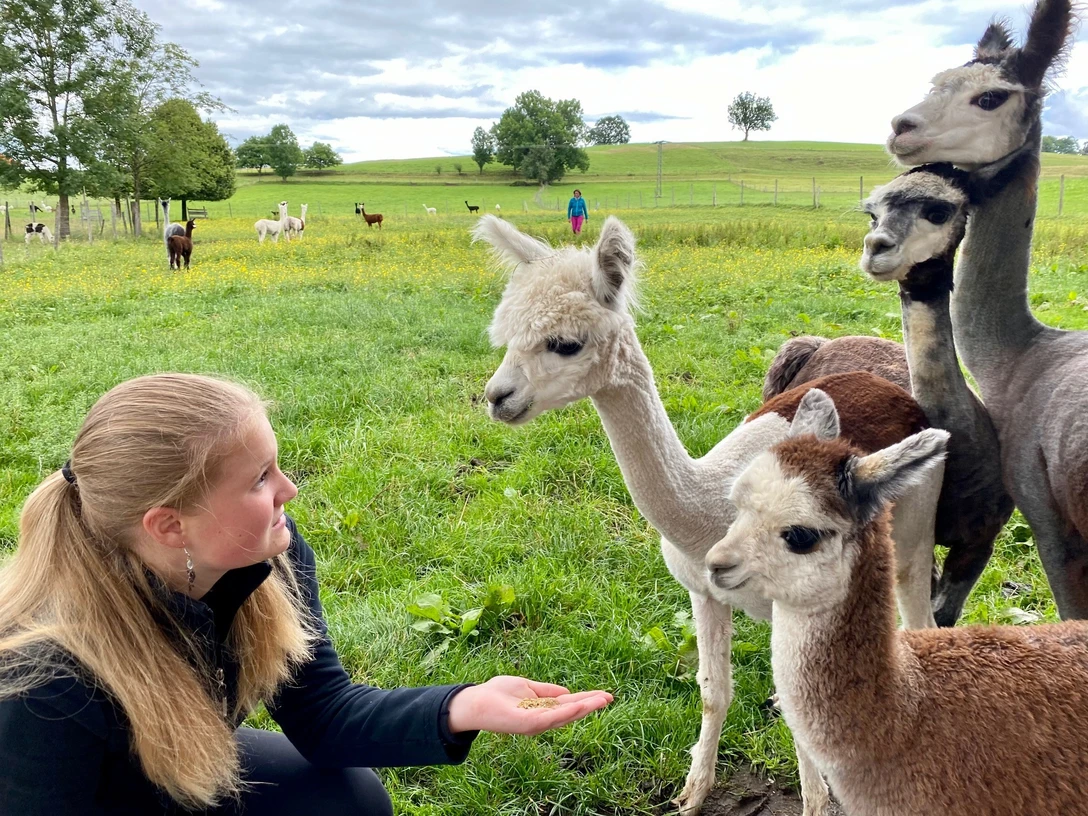 Gruppe Alpaka füttern@Sandra Bangerter.jpg