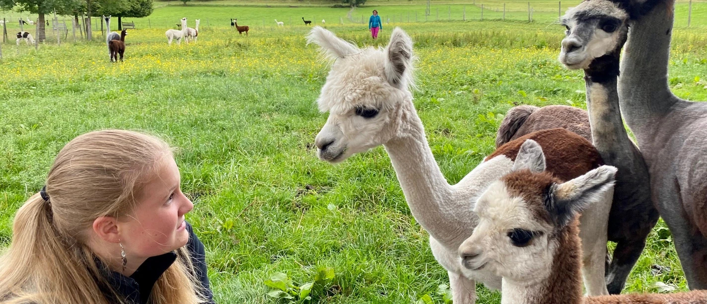 Gruppe Alpaka füttern@Sandra Bangerter.jpg