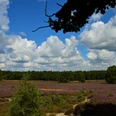 Kirchdorfer Heide mit Wolken
