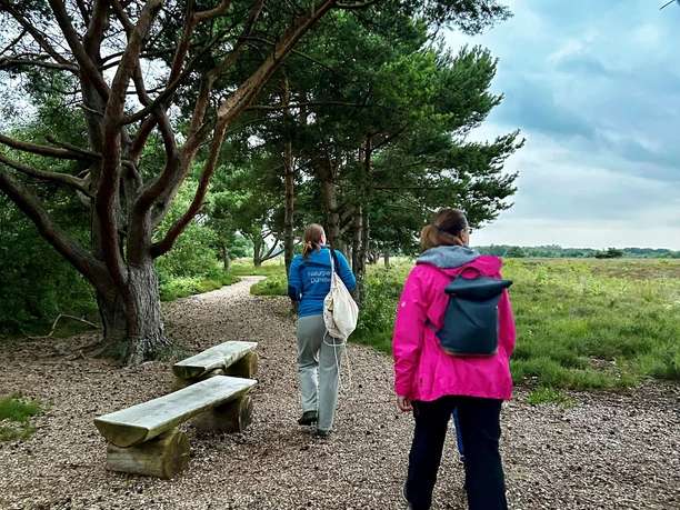 Fledermausführung im Naturpark Dümmer Fledermausführung im Naturpark Dümmer