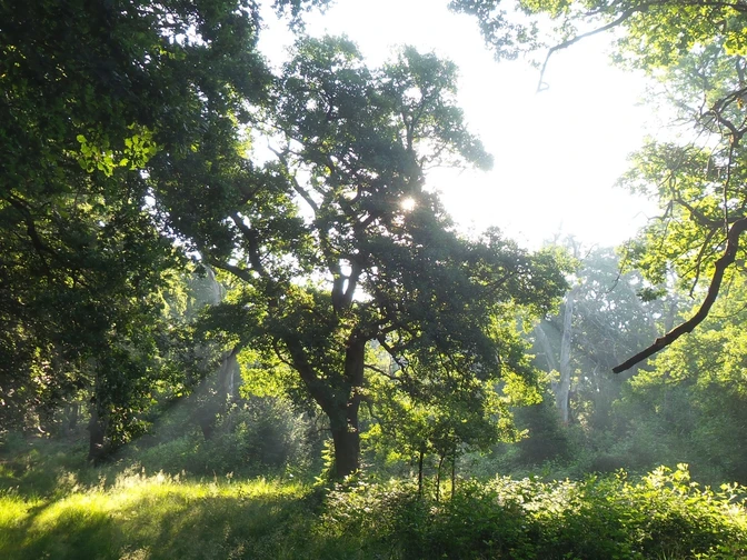 Hero Sauerland-Waldroute