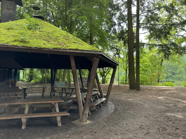 Saaler Mühle Grillhütte Rundholz-Pavillon mit Moos bedecktem Dach steht im grünen Wald, umgeben von Picknicktischen.