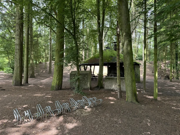 Saaler Mühle Grillhütte Überdachte Picknickstelle im Wald, umgeben von hohen Bäumen, mit Fahrradständern im Vordergrund.