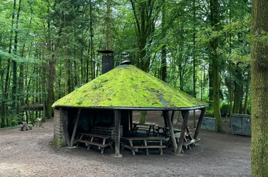 Grillhütte Saaler Mühle Ein mit Moos bedeckter, runder Holzunterstand in einem bewaldeten Gebiet, umgeben von Bäumen.