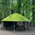 Grillhütte Saaler Mühle Ein mit Moos bedeckter, runder Holzunterstand in einem bewaldeten Gebiet, umgeben von Bäumen.