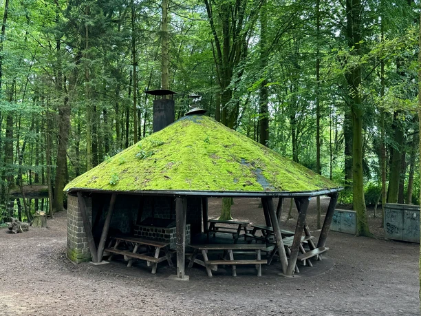 Grillhütte Saaler Mühle Ein mit Moos bedeckter, runder Holzunterstand in einem bewaldeten Gebiet, umgeben von Bäumen.