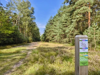 Wandern in der Moosheide Laub- und Kiefernwald in der Moosheide; Wanderweg markiert mit Holzpfosten und Schildern.