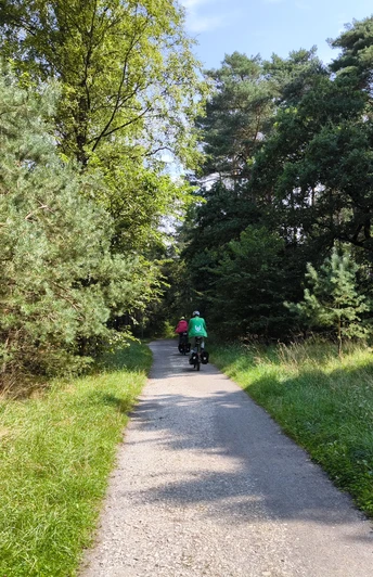 Ein schmaler Weg führt durch ein grünes Waldgebiet, zwei Personen fahren darauf mit Fahrrädern.