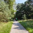 Naturschutzgebiet Moosheide Ein schmaler Weg führt durch ein grünes Waldgebiet, zwei Personen fahren darauf mit Fahrrädern.
