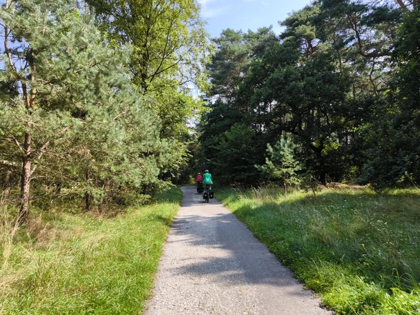 Naturschutzgebiet Moosheide Ein schmaler Weg führt durch ein grünes Waldgebiet, zwei Personen fahren darauf mit Fahrrädern.