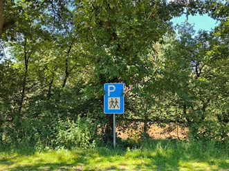 Parkplatzschild für Wanderer umgeben von grünen Bäumen, ein sonniger Tag in einer Waldlichtung.