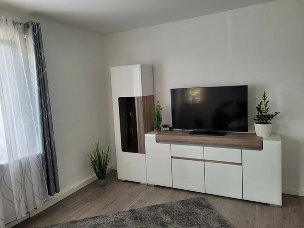 Ferienwohnung Haufe, Wohnraum Moderner Wohnraum mit schlichtem Weiß, einem Flatscreen-TV, Pflanzen und einem hübschen Teppich.