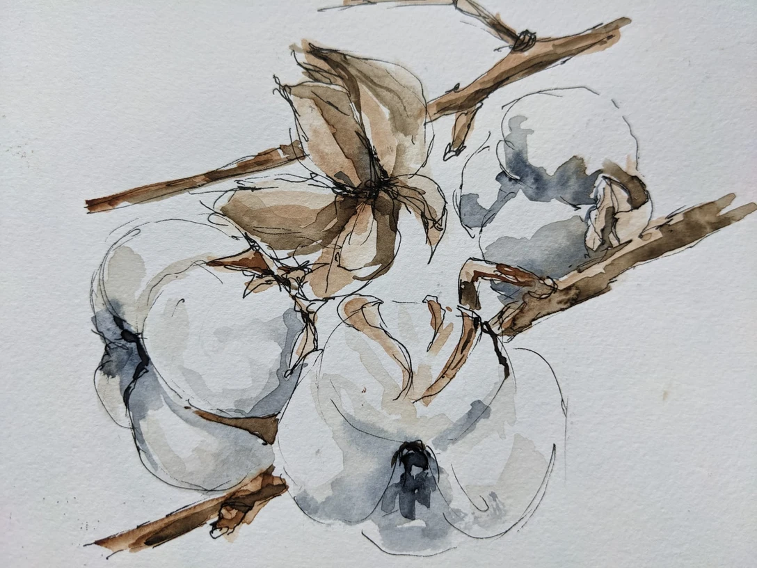 Familienworkshop: „Cromforder Scribble Book/Aquarell-Edition“ Aquarellillustration von Baumwollzweigen in sanften Brauntönen, wird bei Workshop in Ratingen genutzt.