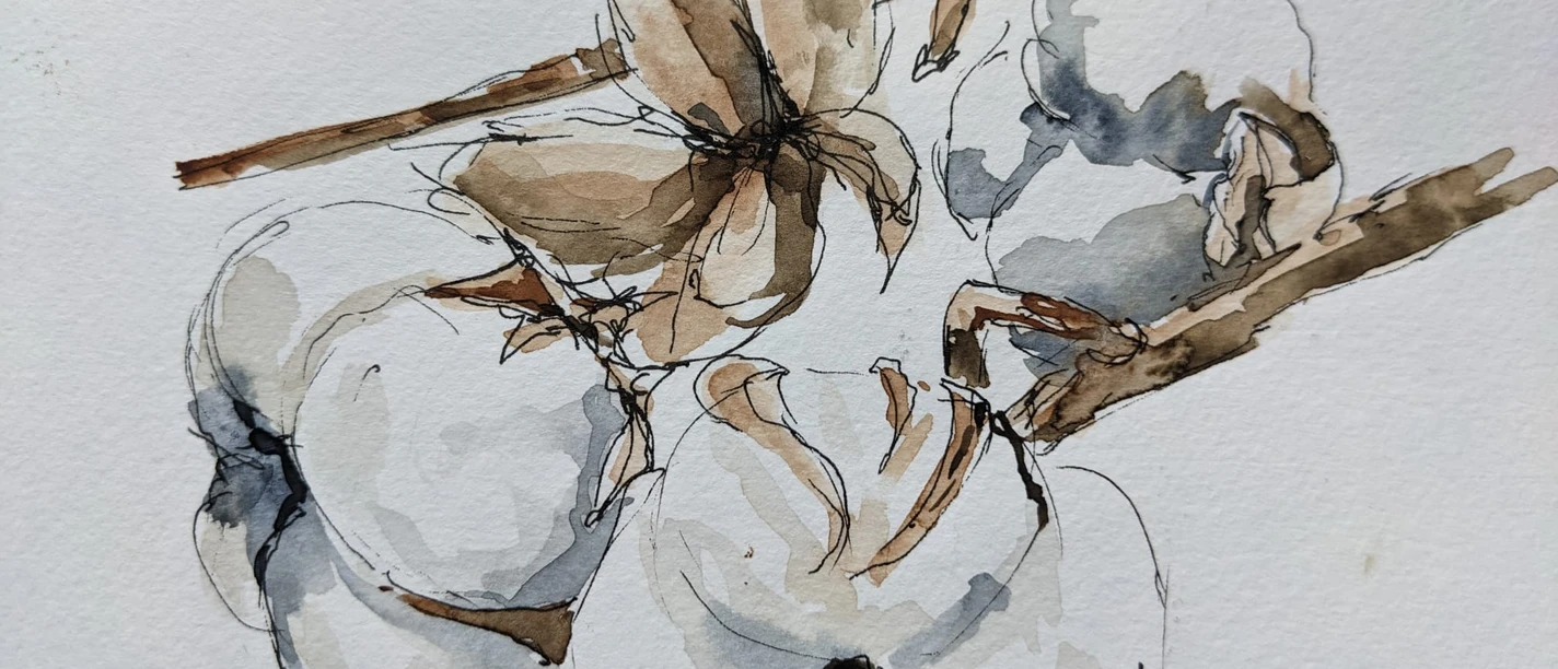 Familienworkshop: „Cromforder Scribble Book/Aquarell-Edition“ Aquarellillustration von Baumwollzweigen in sanften Brauntönen, wird bei Workshop in Ratingen genutzt.