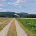 Barrierearme Tour auf den Barbinger Fluren Barrierearmer Weg auf Asphalt, umgeben von Feldern und Blick auf die Walhalla bei Donaustauf in der Ferne