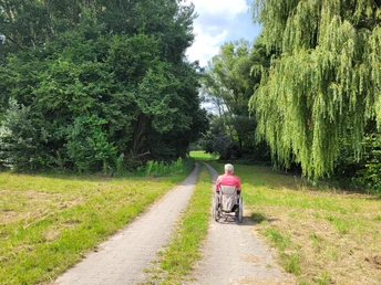 Barrierearme Tour bei Barbing Rollstuhlfahrer auf gepflastertem Weg umsäumt von Bäumen und grünen Feldern