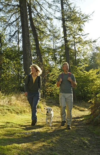 Zwei Personen wandern mit Hund auf einem sonnigen Waldweg, umgeben von Bäumen und Felsen.