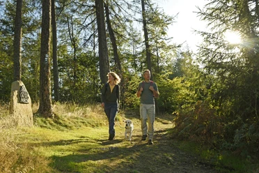 Oerlinghausen-Teutoburger-Wald-Tourismus-F-Grawe (1).JPG Zwei Personen wandern mit Hund auf einem sonnigen Waldweg, umgeben von Bäumen und Felsen.