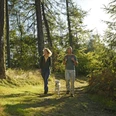 Oerlinghausen-Teutoburger-Wald-Tourismus-F-Grawe (1).JPG Zwei Personen wandern mit Hund auf einem sonnigen Waldweg, umgeben von Bäumen und Felsen.