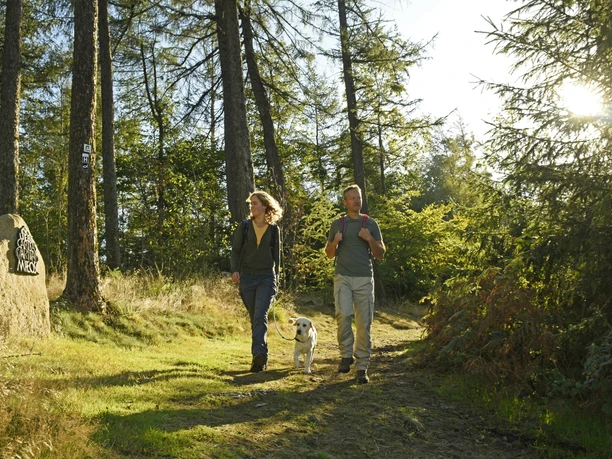 Oerlinghausen-Teutoburger-Wald-Tourismus-F-Grawe (1).JPG Zwei Personen wandern mit Hund auf einem sonnigen Waldweg, umgeben von Bäumen und Felsen.