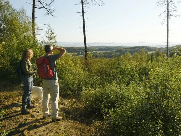 Oerlinghausen-Teutoburger-Wald-Tourismus-F-Grawe (3).JPG Zwei Wanderer und ein Hund genießen von einer Lichtung aus den weiten Blick über den Teutoburger Wald.