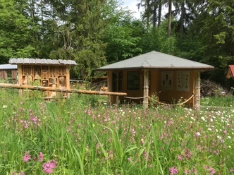 Bienenstand.jpg