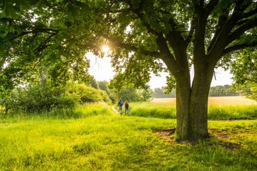 Wandern im Naturreservat Rieselfelder Windel