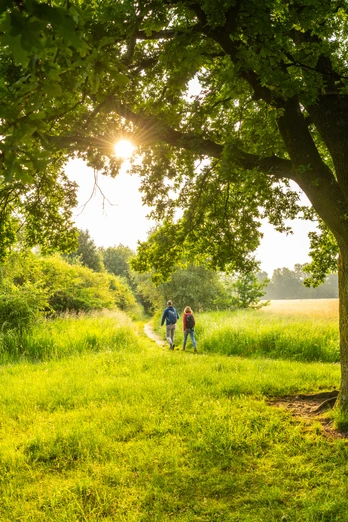 Wandern im Naturreservat Rieselfelder Windel
