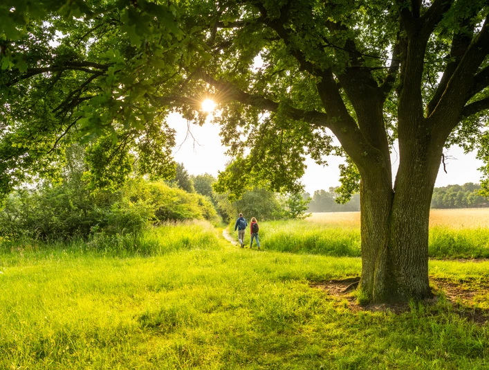 Wandern im Naturreservat Rieselfelder Windel