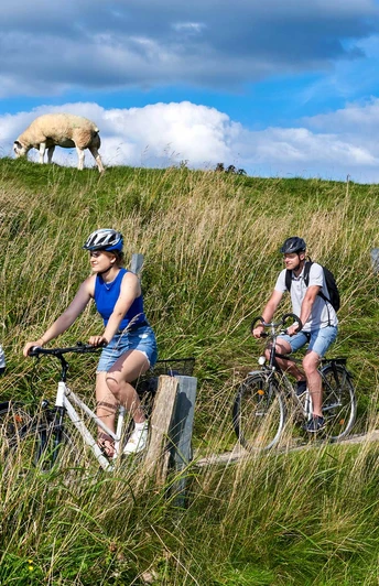 Radeln am Eider-Deich