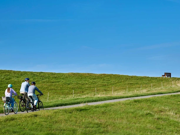 Radeln am Deich