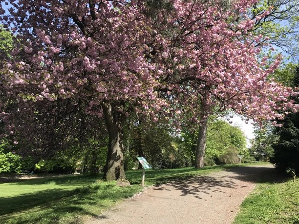 Baumlehrpfad Wuppertal