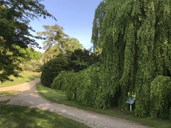 Baumlehrpfad Wuppertal