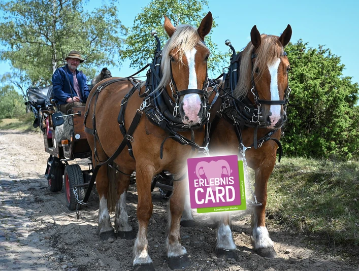 Nebershof_Kutschfahrten (4) (1).jpg