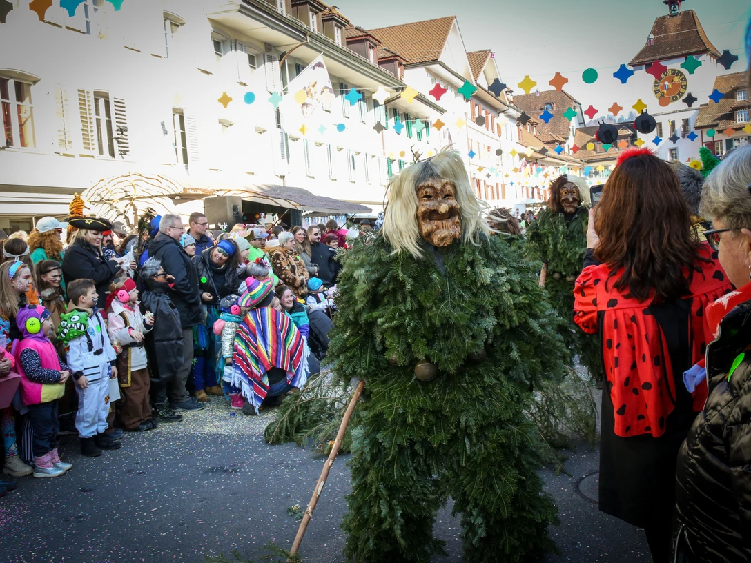 Fasnacht Region Willisau