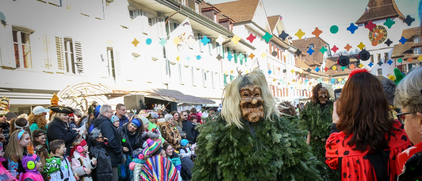 Fasnacht Region Willisau